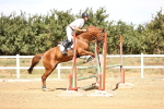 SBM_000949
