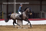 BPP_3877
