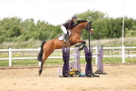 SBM_003293