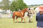 SBM_09095