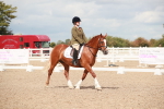 SBM_05850