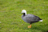 20140419-3K8A0398