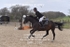 BPP_1197