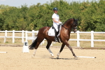 SBM_022250