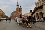 Horse Drawn Taxi, Krakow, Poland.