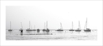 Boats at Wells