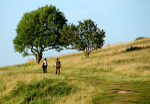 Cissbury 09