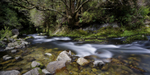 Riuwaka River