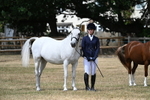 Class 4 Prettiest Mare up to 14.2hh in hand portfolio