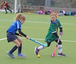Kendal Hockey Festival (Sunday 26 November 2023) portfolio