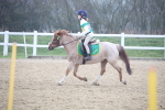 SBM_003356