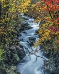 004 Autumn Colours