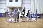 SBM_000516