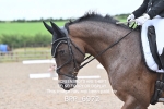 BPP_6972