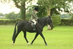 SBM_73920