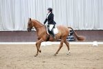 SBM_003369