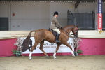 SBM_02021