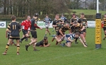 DSC01940