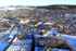 Penrith Castle, Winter View