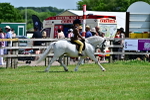 SBM_06429