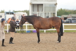 SBM_07882