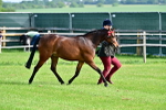 SBM_00961