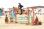 SBM_006379