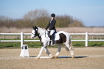 SBM_002003