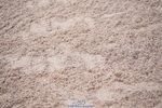 241027A-090756-01785