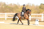 SBM_003767