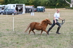 WJ6_6888