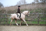 SBM_006324