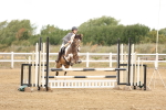 Class 3 - Senior British Novice - 90cm portfolio