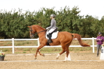 SBM_007420