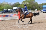 BPP_4491