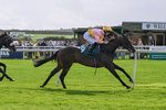 080926-Race 3-Battenburg Belle-2301