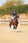 SBM_017968