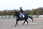SBM_003331