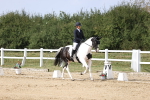 SBM_017981
