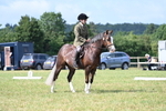 WJ7_1937