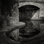 Tow Path (square format)