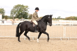 SBM_02795