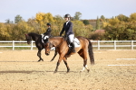 SBM_009176