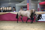 SBM_06619
