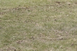 BVHT 140517 N-322