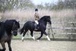 SBM_006021