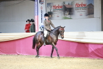 SBM_06950