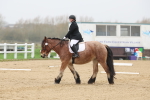 SBM_000449