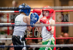 Sparring Bout-1_Arnie Watson v Rio Gaudion-7