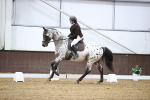 SBM_02462